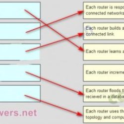 Ccna 2 final exam answers