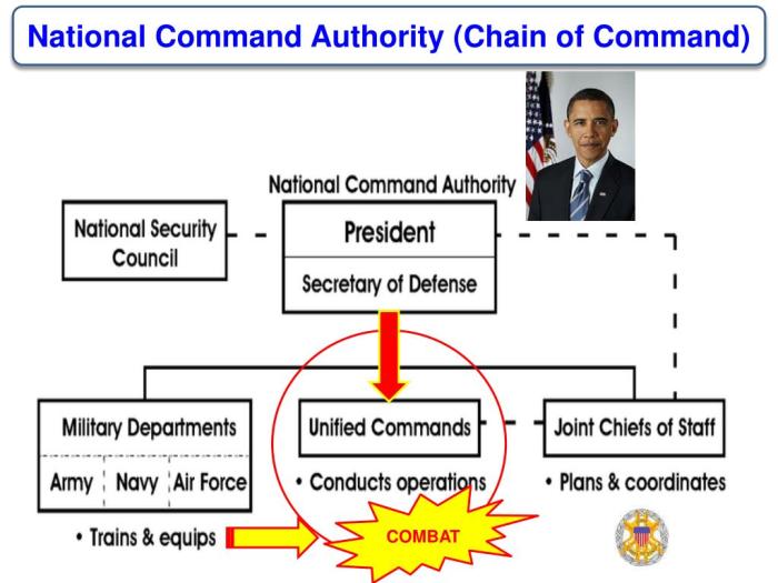 The non-operational chain of command runs directly from the president